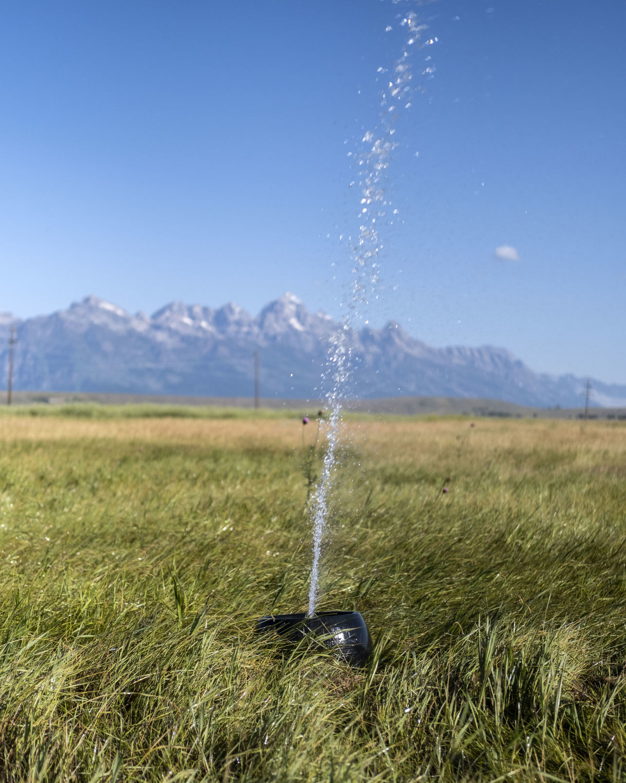 National Elk Refuge irrigation